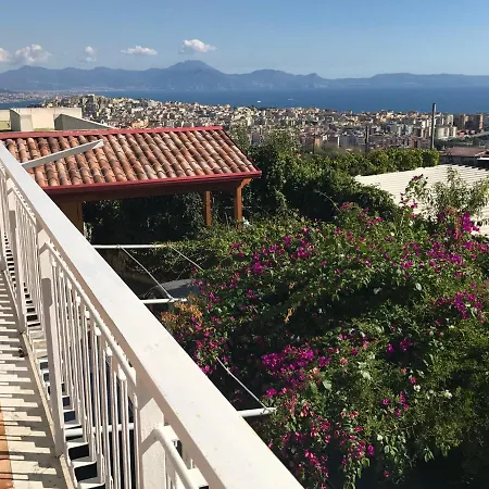 Panoramic *
